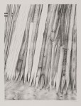 Fences, a Lithograph by Marisa Saggio