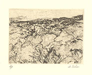 Hills of Jerusalem {1}, a Soft ground etching by Anna Ticho