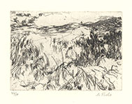 Hills of Jerusalem {3}, a Soft ground etching by Anna Ticho